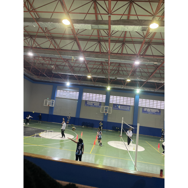 inci volleybol